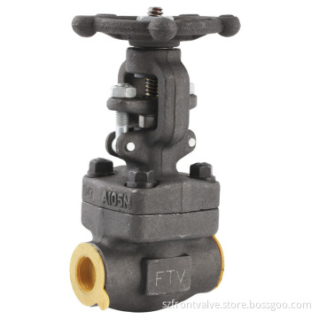 Forged Steel Sw and Threaded Globe Valve